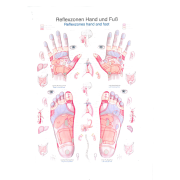 Lehrposter Reflexzonen Hand / Fuß