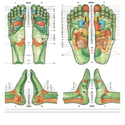 4387.3_reflexzonentafel-der-fuesse.jpg