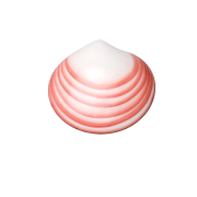 9267.12_lavashell-porzellanmuschel.png