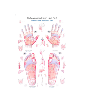 Lehrposter Reflexzonen Hand / Fuß