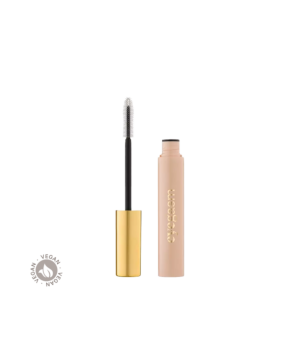 9160.8042_Paese-Eyegasm-Mascara-Conditioner_1.png
