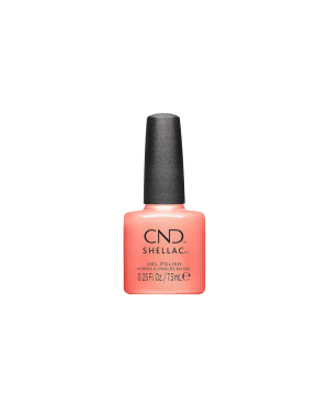 COC40322_CND-Shellac-Apribot.png