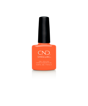COC40915_CND_Shellac B-day Candle.png