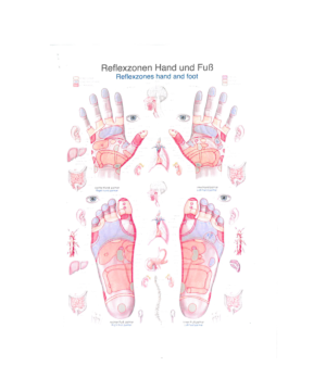 Lehrposter Reflexzonen Hand / Fuß