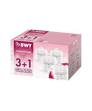 BWT Filterkartuschen oval 4 Stück