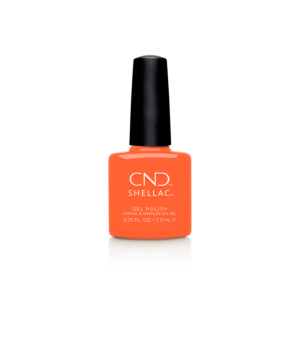 COC40915_CND_Shellac B-day Candle.png